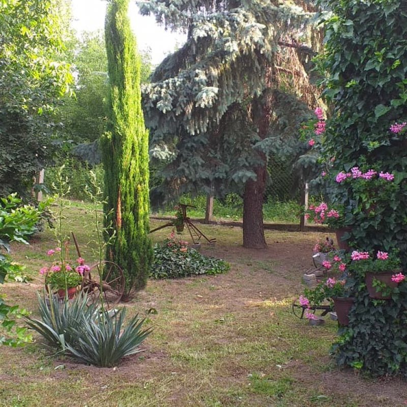 Benéné Szabó Henriett kertje 04